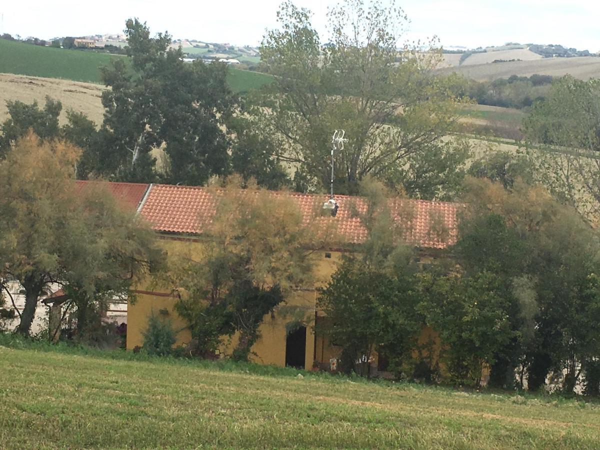 Agriturismo Fattoria Del Colle Ези Экстерьер фото
