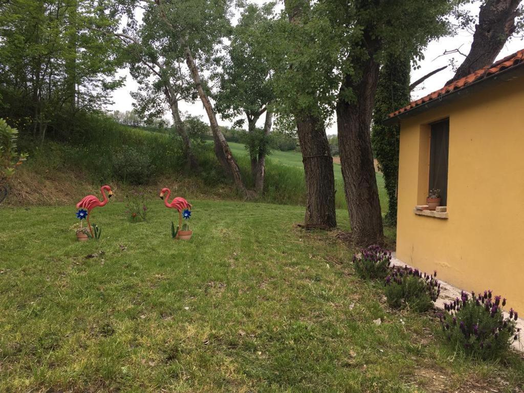 Agriturismo Fattoria Del Colle Ези Экстерьер фото