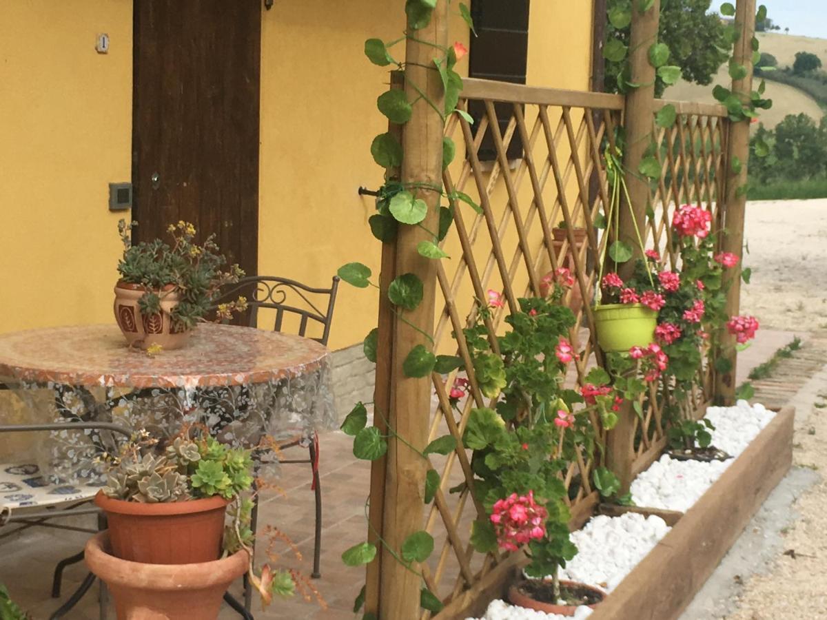 Agriturismo Fattoria Del Colle Ези Экстерьер фото